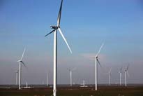 foto certificate verzi